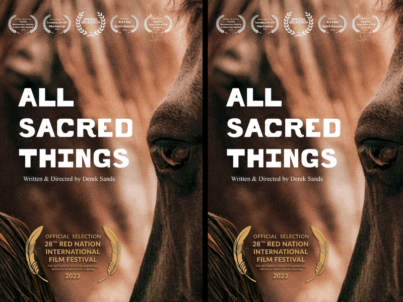 A movie poster of All Sacred Things by Derek Sands. With a close up of a brown horses face. 